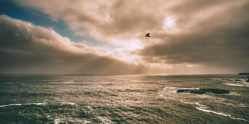 当代码遇见不夜城：深圳开发者如何玩转24小时数字生活圈