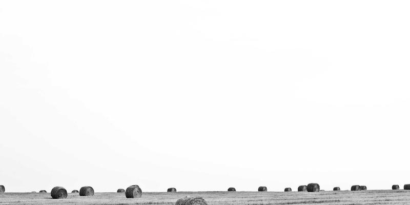 深圳数字游民生存指南：用网络技术与资源分享打造自由职业生涯