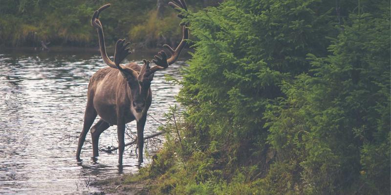 深圳自由世界：开源农业与垂直农场，技术如何重塑城市食物生产系统