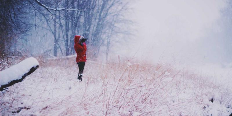 深圳自由世界：开源机器人平台如何成为教育普惠与青少年创客的引擎
